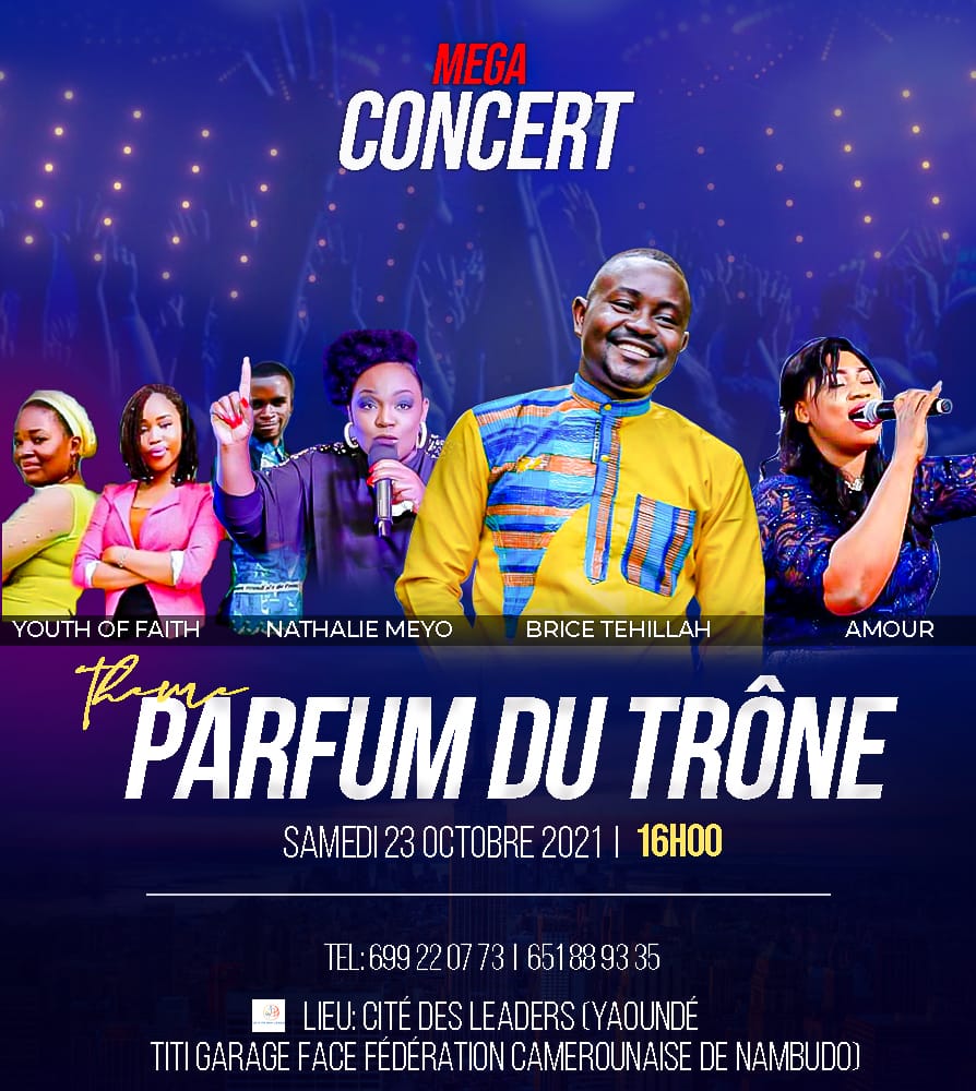 Méga Concert &agrave; Yaoundé